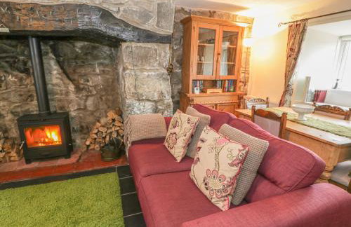 Plas Arenig - Foto 7