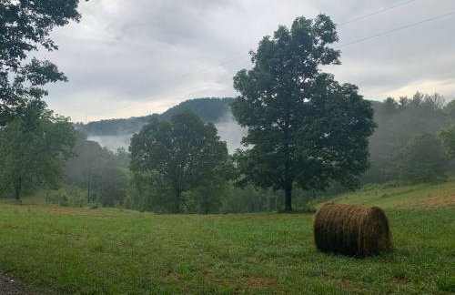 1878 Victorian Farm House near Asheville - Foto 23
