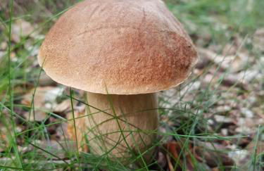 L'ancienne école de Sainte-Marguerite - Foto 32