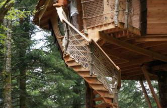 Cabanes des Volcans - Foto 27