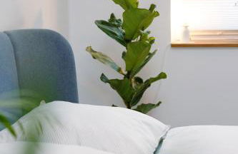 Villa Alexandra 1897 Anna - Foto 11