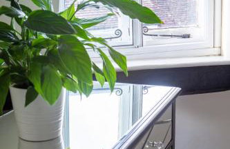 The Hideaway, lovely cosy place in Blandford Forum, Dorset - Foto 24