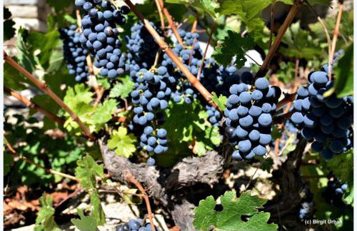 Niriides Studios - Foto 30