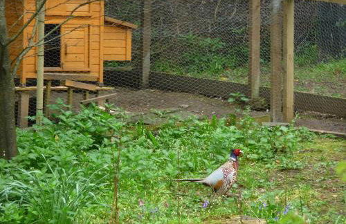 Doonbank Cottage Bothy - Foto 7