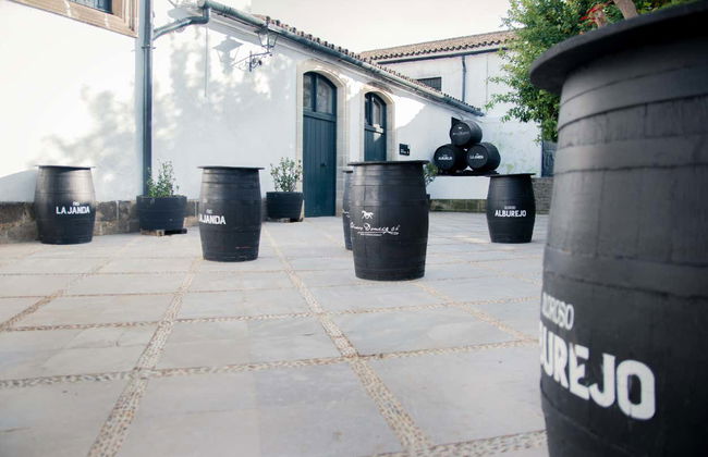 Visite des Bodegas Álvaro Domecq - Photo 5