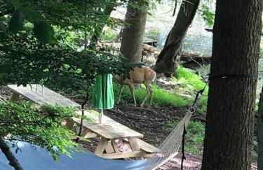 3 Acre Lake Paradise Swimming Pool & Jacuzzi HotTub! - Foto 17