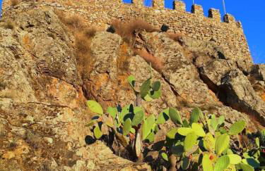 Casa Vinte & Cinco - Alojamento Local - Foto 93