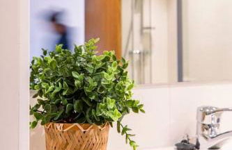 Casa Nieves - Photo 30