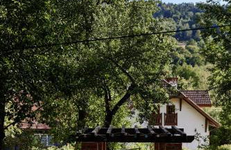 Agroturystyka Akacjowe Zacisze - Foto 39