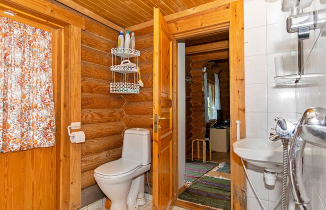 Heinäsorsa - Foto 17