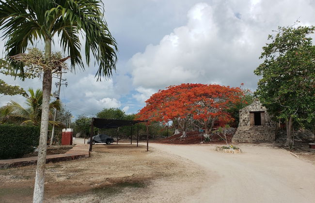 Casa de las Rutas - Foto 23