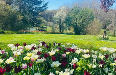 La Colline de Tilleul - Les Tilleuls - 4 STAR RATED - stunning cottage with pool near Aubeterre in idyllic location - Foto 63