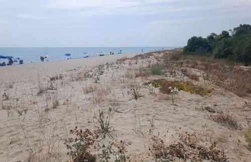 villa Toni - Photo 16