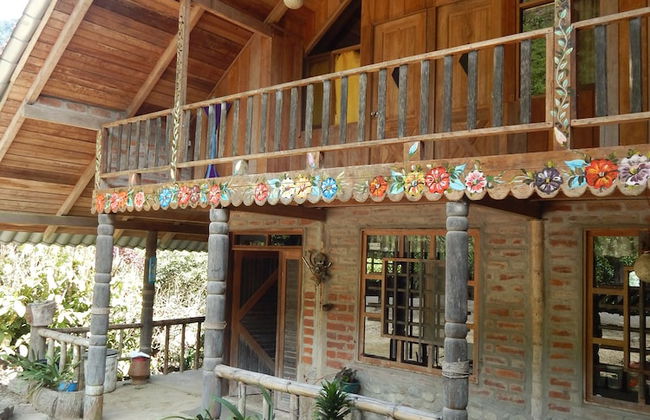 Dogs and Fish Dream Land - Foto 36