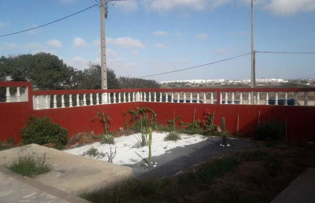 Paloma Pied Sur Sable - Foto 9