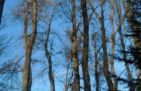 Casa rural Paqui - Foto 16