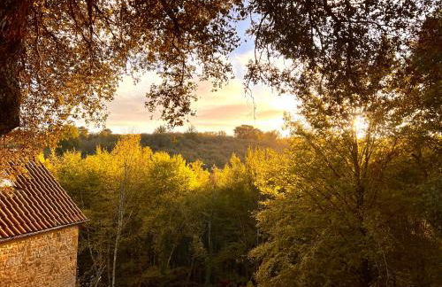 Domaine de charme avec 2 gîtes et piscine couverte - Foto 6