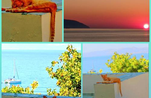 Evangelia House Sea View Apartments - Foto 62