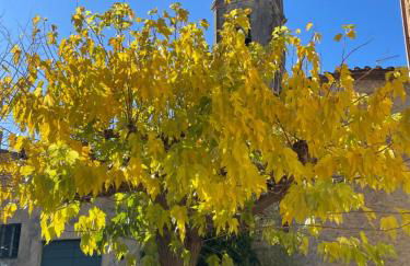 Le Giuggiole in Tuscany - Foto 36