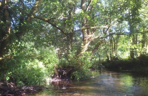 Luxury Exmoor Barn conversion with Sauna - Foto 26