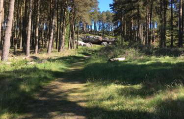 Up North Stays - Foto 22