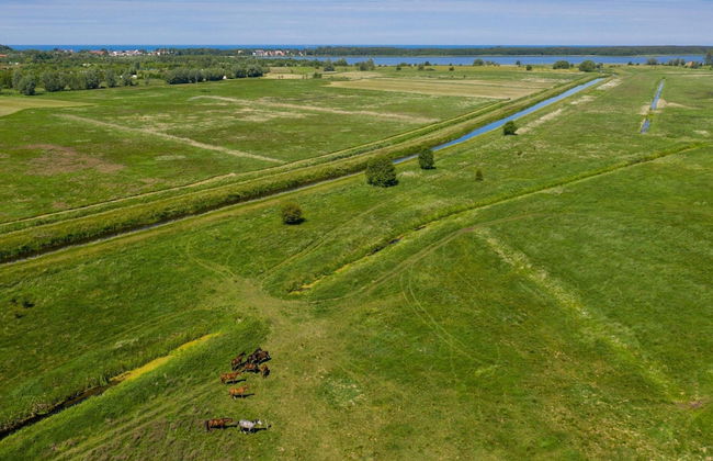 Brick Cottage Near Baltic Sea and Windmill - Photo 23