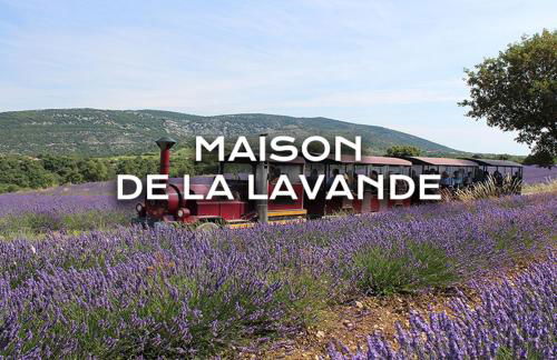 Coeur de pierre - Foto 16