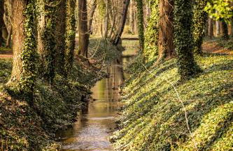 Apartment am Schlosspark - Foto 24