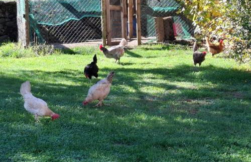 Casa rural Mas Plantalech - Foto 35