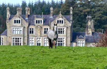 Blessingbourne Cottages & Apartments - Foto 144