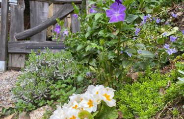 Ostalon de Sénégats - Foto 25