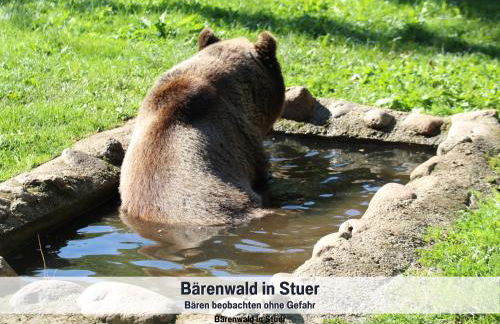 Wohlfühlparadies Moritz, Stuer - Strandnah am Plauer See mit Wlan und Parkplatz - Foto 31