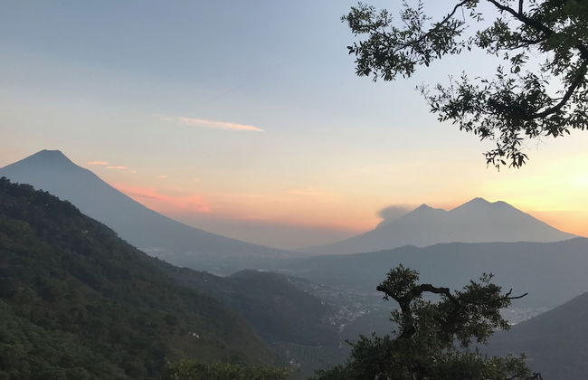 Finca El Tambor - Foto 65