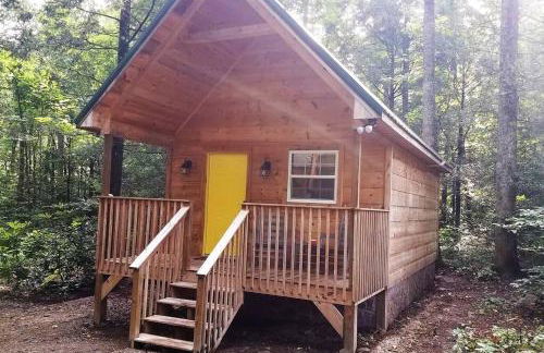 Holly Nest a Cozy Cabin Getaway near Gatlinburg - Photo 26