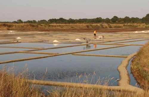 Gîte breton proche plages et Guérande - terrasse, vélos inclus, animaux bienvenus - FR-1-306-1268 - Foto 14