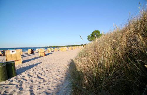 Ferienwohnungen Seiler - Foto 14