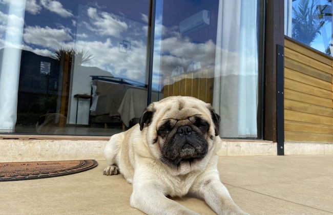 Cabanas Jardim dos Canyons - Foto 61