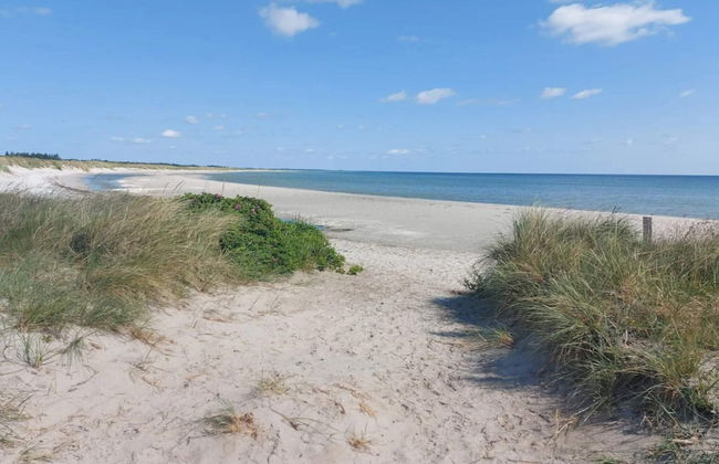 4 Person Holiday Home in Hals - Foto 32