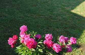 Case di Stratola - Foto 48