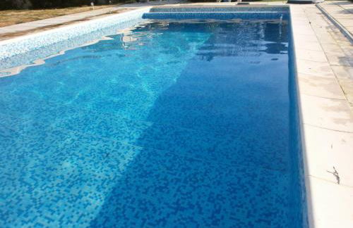 Pervenches - Photo 7