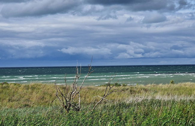 8 Person Holiday Home in Allingabro-by Traum - Photo 25