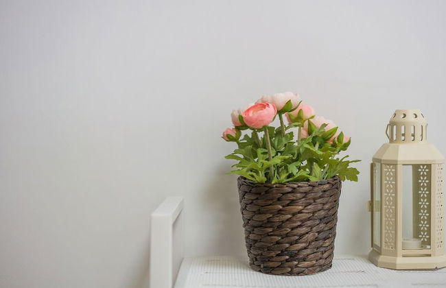 Anmyeondo In You Pension - Foto 22