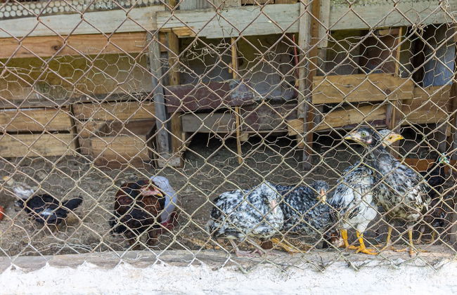 Chácara Master - O Melhor de Guararema - Foto 52