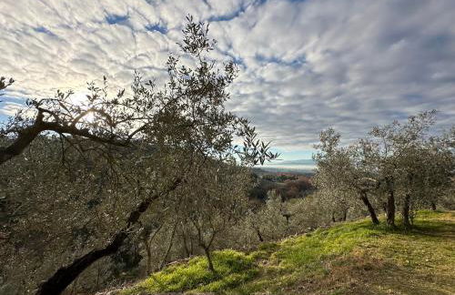 Spello Sant'Onofrio - Foto 36