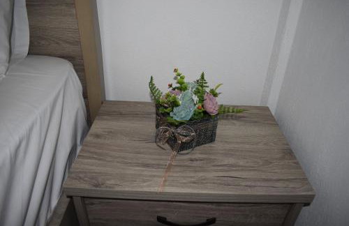 Irina's Apartment - Photo 21