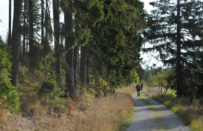 Tasteful Ground Floor Apartment with Terrace & Garden near Brilon - Foto 24