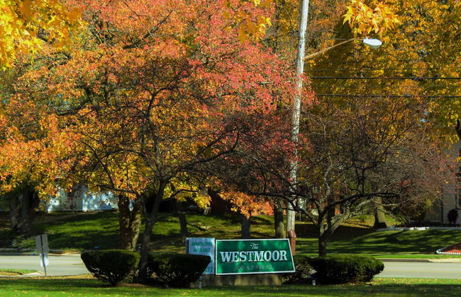 The Westmoor - Foto 15