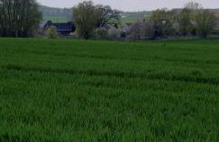 Ferienwohnung Leopold-Risch - Foto 3