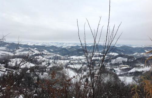 Sangrato 1883 - Foto 34