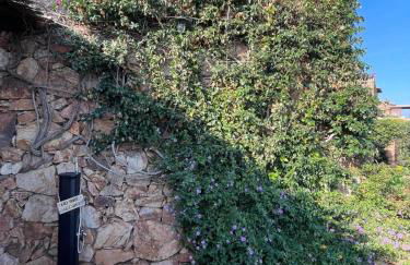 Blue Dawn - Photo 47